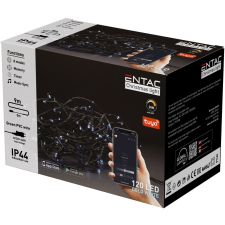 Entac karácsonyi IP44 120 LED füzér CW 9m Tuya APP karácsonyfa izzósor