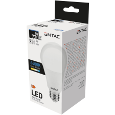  Entac LED Globe E27 8W CW 6400K izzó