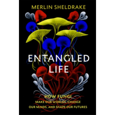 sheldrake entangled life