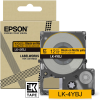 Epson S672074 EREDETI