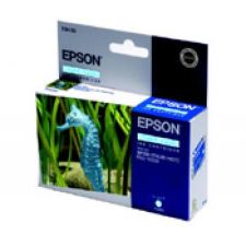 Epson T0485 C nyomtatópatron & toner