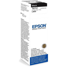 Epson T6731 fekete nyomtatópatron & toner