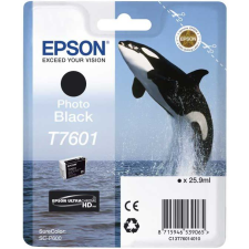 Epson T7601 patron fotó fekete (C13T76014010) (C13T76014010) nyomtatópatron & toner