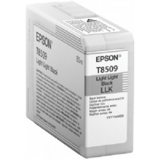 Epson T850900 EREDETI nyomtatópatron & toner