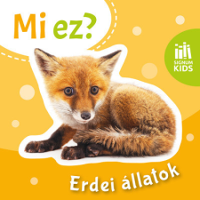 - Erdei állatok - Mi ez? egyéb könyv