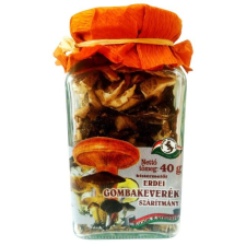  Erdei gombakeverék szárítmány 40g alapvető élelmiszer
