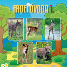  - ERDEI ÓVODA 1. gyermek- és ifjúsági könyv