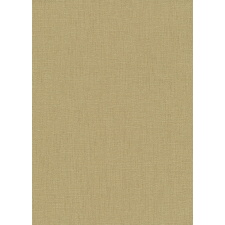  Erismann Spotlight 10108-30 Natur Egyszínű strukturált vakolatminta arany tapéta tapéta, díszléc és más dekoráció