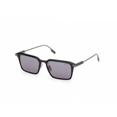 Ermenegildo Zegna EZ0273 H 20A