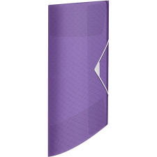 ESSELTE Colour Breeze A4 hajtogatós, gumival, átlátszó levendula lefűző