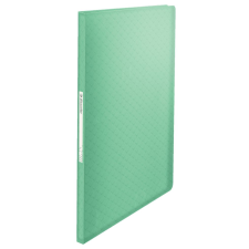 ESSELTE Colour'Ice 40 tasakos iratvédő mappa zöld (626228) (ess626228) - Iratmappák mappa
