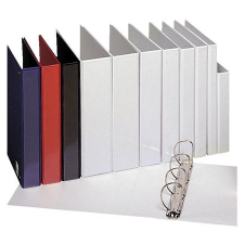 ESSELTE Gyűrűs könyv, panorámás, 4 gyűrű, 25 mm, A4, PP, ESSELTE, fehér gyűrűskönyv