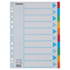 ESSELTE Regiszter, karton, A4, 10 részes, írható előlappal, ESSELTE "Standard", színes regiszter és tartozékai