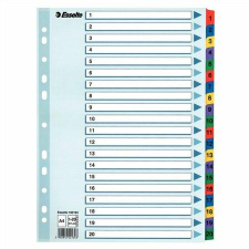ESSELTE Regiszter, karton, A4, 1-20, ESSELTE Mylar (E100163) regiszter és tartozékai