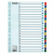 ESSELTE Regiszter, karton, A4, 1-20, ESSELTE Mylar (E100163)