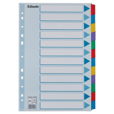 ESSELTE Regiszter, laminált karton, A4, 12 részes, ESSELTE "Mylar" regiszter és tartozékai