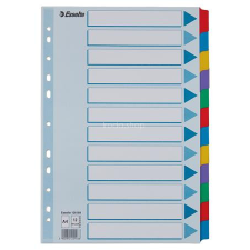 ESSELTE Regiszter, laminált karton, A4, 12 részes, ESSELTE "Mylar" regiszter és tartozékai