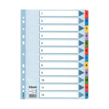 ESSELTE Regiszter, laminált karton, A4, 1-12, ESSELTE "My regiszter és tartozékai