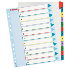 ESSELTE Regiszter, laminált karton, A4 Maxi, 1-12, újraírható, ESSELTE regiszter és tartozékai