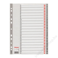 ESSELTE Regiszter, műanyag, A4, 1-31, ESSELTE, szürke (E100108) regiszter és tartozékai