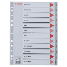 ESSELTE Regiszter, műanyag, A4, Jan-Dec, ESSELTE, szürke regiszter és tartozékai
