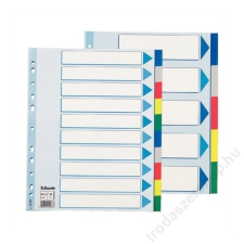 ESSELTE Regiszter, műanyag, A4 Maxi, 10 részes, ESSELTE (E15267) regiszter és tartozékai