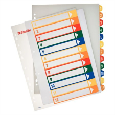  ESSELTE Regiszter, műanyag, A4 Maxi, 1-12, nyomtatható, ESSELTE, áttetsző regiszter és tartozékai