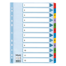 ESSELTE Regiszter Mylar Esselte A/4 1-12-ig 100162 regiszter és tartozékai