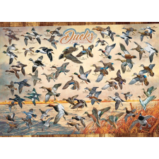  Észak-Amerikai Kacsák Puzzle 1000 Darabos puzzle, kirakós