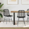  Étkezőszék 2 pcs Fekete 44.5 x 55 x 85 cm Rattan és Vas