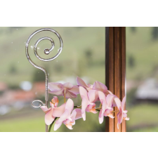 EU Spirál alakú díszítő-támasztó pálca – több színben Szín: Átlátszó kerti tárolás