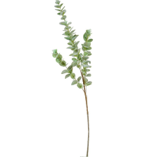  Eukaliptusz ág M95cm 40db/# dekorációs kellék
