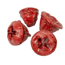  Eukalyptus gomb viaszos piros 15kg/csom dekorációs kellék