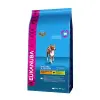  Eukanuba Mature &amp; Senior Medium kutyatáp 15kg
