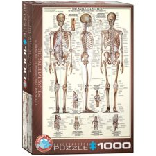 Eurographics 1000 db-os puzzle - The Skeletal System (6000-3970) puzzle, kirakós
