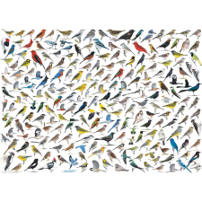 Eurographics madárvilág puzzle - 1000 darabos puzzle, kirakós