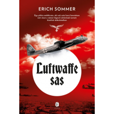 Európa Könyvkiadó Erich Sommer: Luftwaffe sas történelem