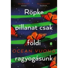 Európa Röpke pillanat csak földi ragyogásunk egyéb e-könyv