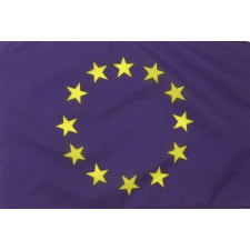  Európa zászló kicsi (30 x 45 cm) zászlórúdon dekoráció