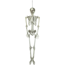 EuroPalms Halloween csontváz  150 cm dekoráció