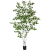 EuroPalms Nyírfa  műfenyő  210cm  mesterséges növény  210cm