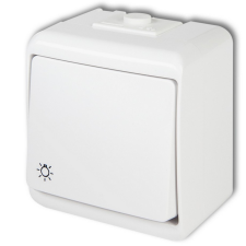 EverFlourish Hungary Kft. Kültéri falon kívüli nyomókapcsoló lámpa jellel villanyszerelés