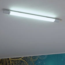 EverFlourish Hungary Kft. Por és páramentes LED lámpatest, hidegfehér, 1600lm - GAO 3109218010 műhely lámpa
