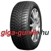Evergreen EW62 ( 165/65 R14 79T )