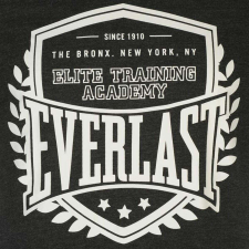 Everlast férfi póló, Elite Training Academy, szürke-fehér férfi póló