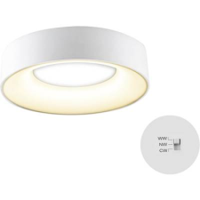 EVN R30180125 EVN Lichttechnik LED-es mennyezeti lámpa 18 W Fehér (R30180125) világítás