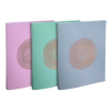 Exacompta Gyűrűs könyv Exacompta Ellipse A/4 2 gyűrűs 20 mm gerinccel vegyes színek