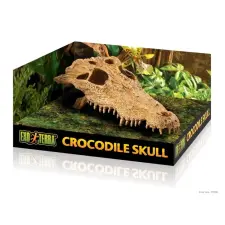 Exo Terra Crocodile Skull - Krokodilkoponya (12x23x6 cm) kisállatfelszerelés