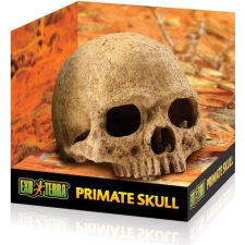 Exo Terra emberi koponya dekor terráriumba hüllőfelszerelés