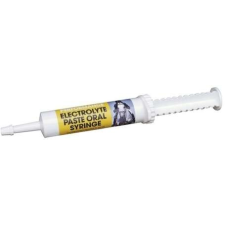 Exo Terra Equimins Electrolyte Paste - Elektrolit paszta lovaknak 30 ml vitamin, táplálékkiegészítő kutyáknak